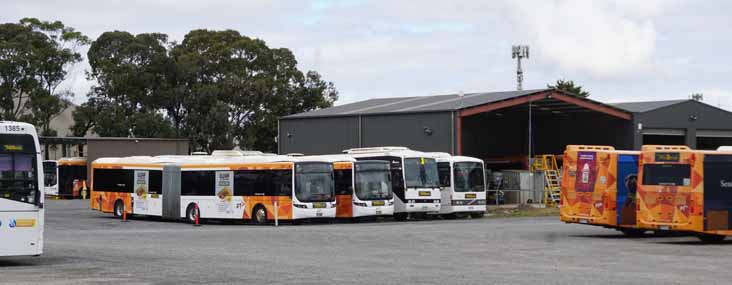 Ventura Scania K360UA Volgren Optimus 1380, 1426 & 1385, plus 604, 1099, 191, 594 & 278